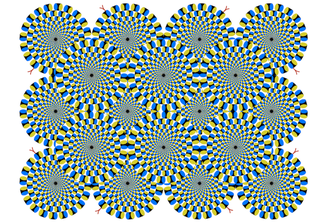 Illustration for article titled Can animals see optical illusions? Kitty says YES.